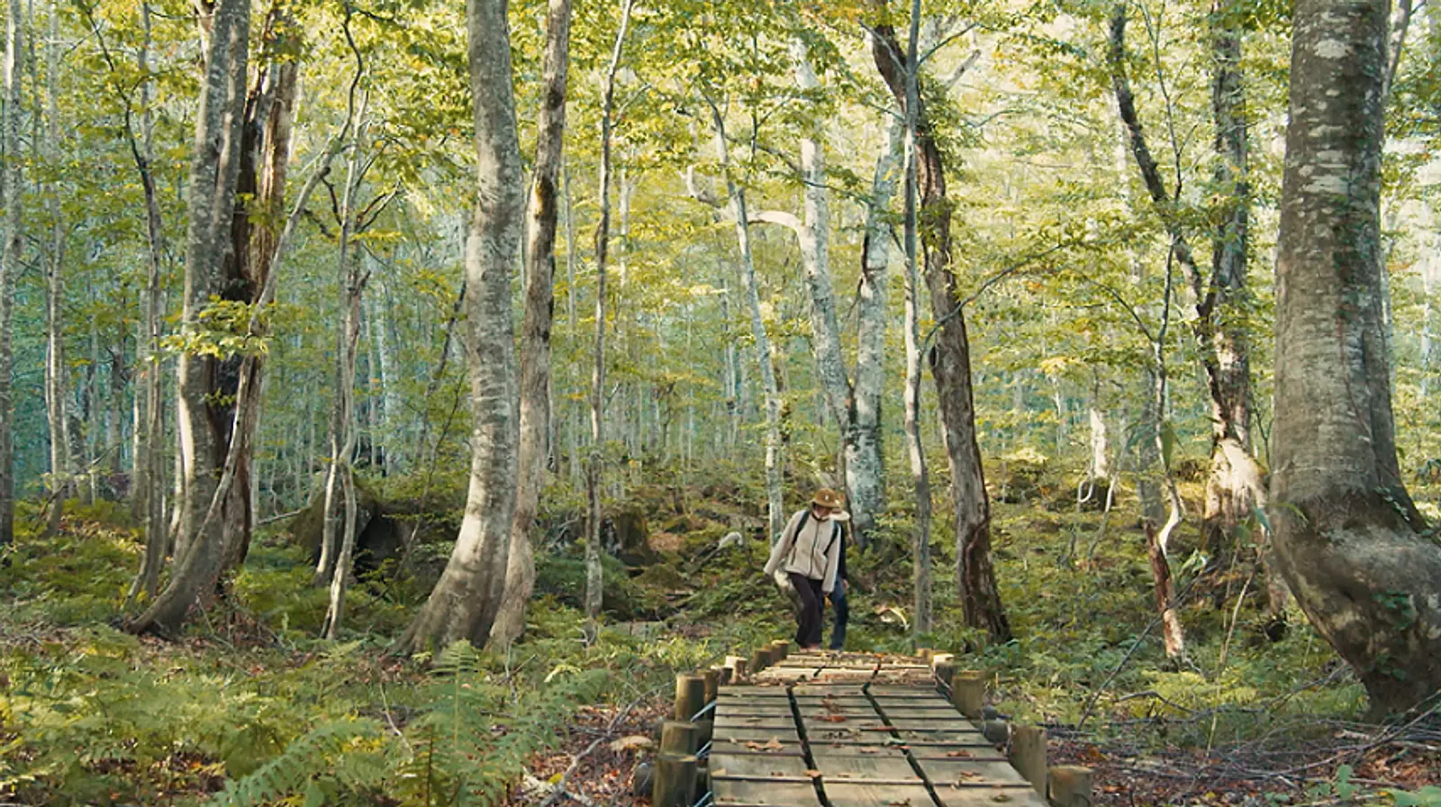 秋田で出会う、世界遺産。Primitive Japan | ブランニューアキタ